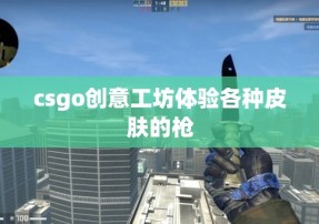 csgo创意工坊体验各种皮肤的枪