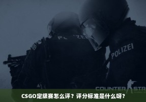 CSGO定级赛怎么评？评分标准是什么呀？