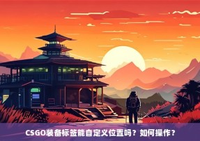 CSGO装备标签能自定义位置吗？如何操作？