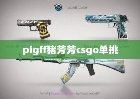 pigff猪芳芳csgo单挑