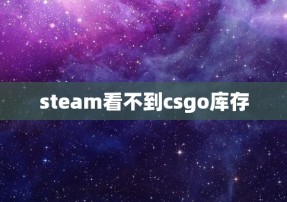 steam看不到csgo库存