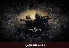 csgo下方数据怎么调整