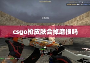 csgo枪皮肤会掉磨损吗