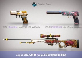 csgo2可以入坑吗 (csgo2可以切换左右手吗)