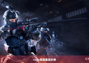 csgo龙狙最高价格