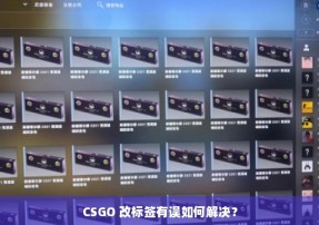 CSGO 改标签有误如何解决？