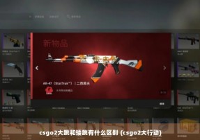 csgo2大跳和矮跳有什么区别 (csgo2大行动)