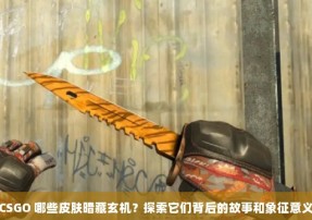 CSGO 哪些皮肤暗藏玄机？探索它们背后的故事和象征意义