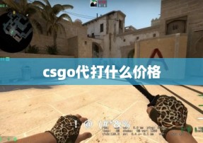 csgo代打什么价格