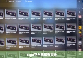 csgo平台黑屏有声音