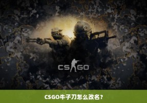 CSGO牛子刀怎么改名？