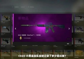 CSGO 小黑盒战队战绩记录了多少场比赛？