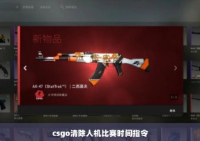 csgo清除人机比赛时间指令