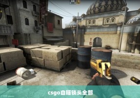 csgo自瞄锁头全部