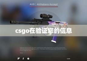 csgo在验证您的信息