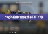 csgo控制台突然打不了字