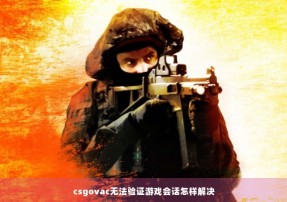 csgovac无法验证游戏会话怎样解决