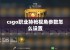 csgo职业持枪视角参数怎么设置