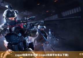 csgo2完美平台卡屏 (csgo2完美平台怎么下载)