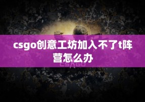 csgo创意工坊加入不了t阵营怎么办