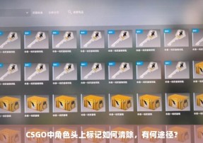 CSGO中角色头上标记如何清除，有何途径？