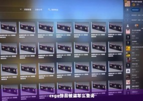 csgo饰品被盗怎么查询