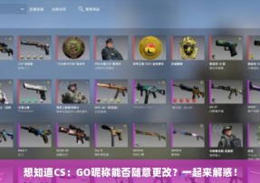 想知道CS：GO昵称能否随意更改？一起来解惑！