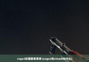 csgo2在哪里看等级 (csgo2在steam叫什么)