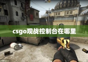 csgo观战控制台在哪里