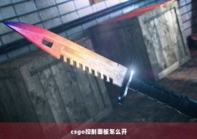 csgo控制面板怎么开