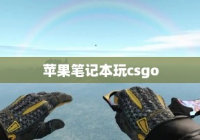 苹果笔记本玩csgo