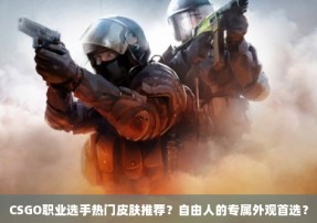 CSGO职业选手热门皮肤推荐？自由人的专属外观首选？