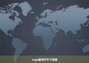 csgo新号打不了竞技