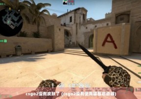 csgo2没有皮肤了 (csgo2没有使用国服启动器)