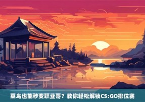 菜鸟也能秒变职业哥？教你轻松解锁CS:GO排位赛