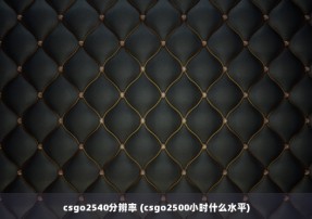 csgo2540分辨率 (csgo2500小时什么水平)