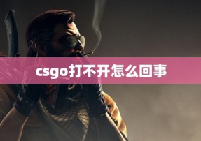 csgo打不开怎么回事