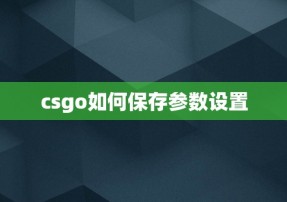 csgo如何保存参数设置