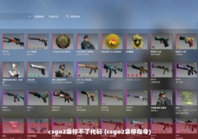 csgo2急停不了代码 (csgo2急停指令)