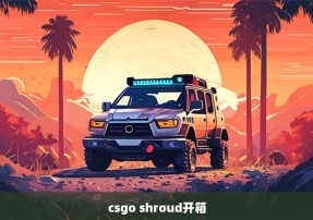 csgo shroud开箱