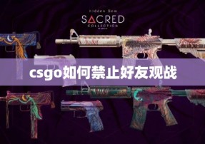 csgo如何禁止好友观战