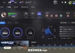 便宜好看饰品csgo