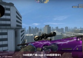 100视野广角csgo (100视野得分)