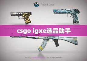 csgo igxe选品助手