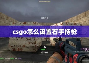 csgo怎么设置右手持枪