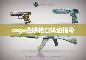 csgo去除枪口抖动指令