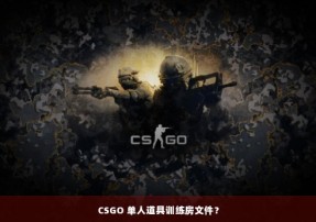 CSGO 单人道具训练房文件？