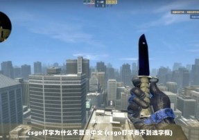 csgo打字为什么不显示中文 (csgo打字看不到选字框)