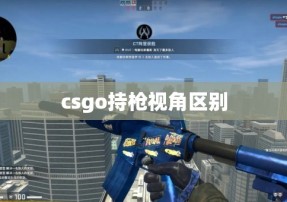 csgo持枪视角区别