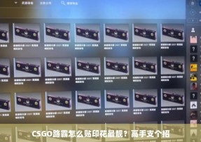 CSGO路霸怎么贴印花最靓？高手支个招